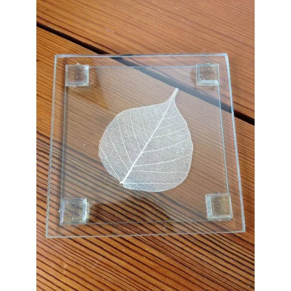 Set of 4 Real Leaf Clear Glass Floral Nature Drink Cocktail Coastal Coasters 4
